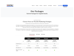 Decoding Digital Marketing Pricing Packages: Finding the Right Fit for Your Business