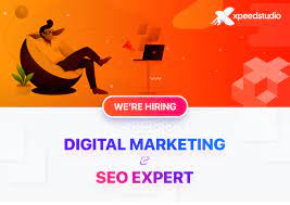 Maximising Marketing Success with an SEO Expert