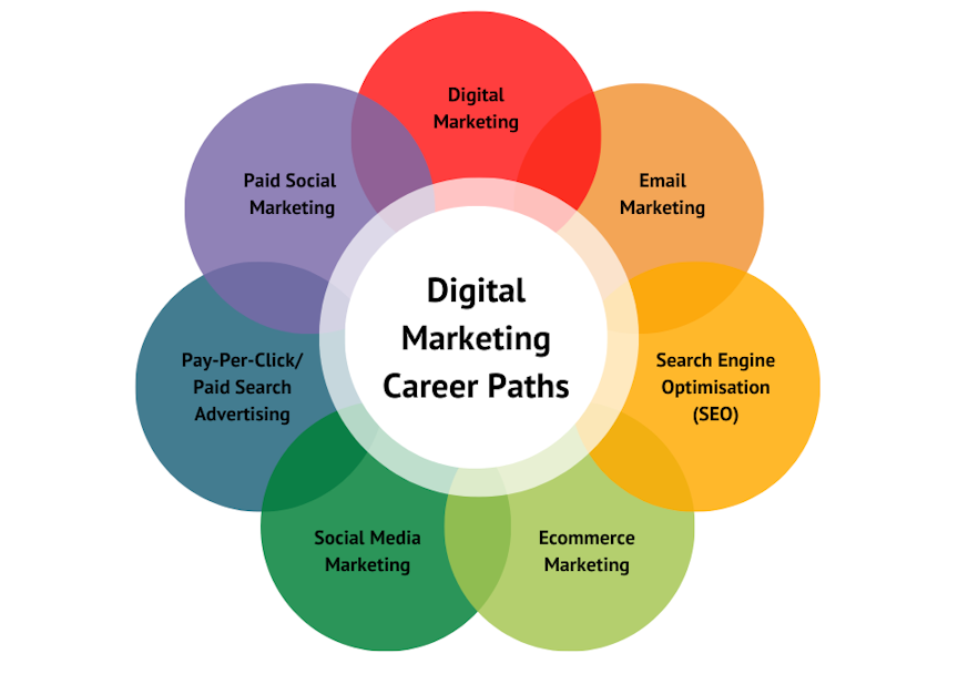 The Essential Guide to Becoming a Successful Digital Marketing Professional