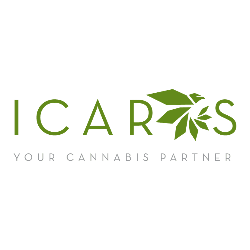 Reaching New Heights: Icarus Digital Marketing Soars Above the Rest